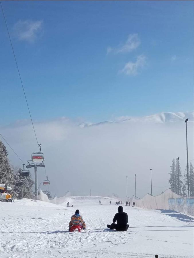 Hrodberht Ski Apartment Buşteni Εξωτερικό φωτογραφία